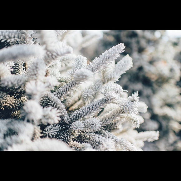 not disclosed Shoes - See New Listing